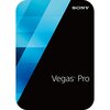 VEGAS Pro 14