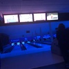 #195 ボーリングナイト🎳と催眠術