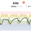 ジョギング10.49km・早朝クルーズインターバル（走りすぎ）