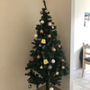 クリスマスの準備を始める