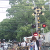 阪神武庫川駅の楠木