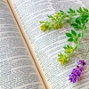 英語ができるとドイツ語は簡単なのか？