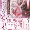 【ラノベレビュー】アンシェーゼ皇家物語 4【タイガーアイ 】