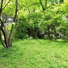 小石川植物園を散策してきたよ！