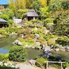 【京都】【御朱印】『等持院』に行ってきました。女子旅 京都庭園