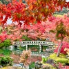 【2023年】今年は長く楽しめる美しい紅葉🍁南禅寺・水路閣・天授庵・永観堂の紅葉巡り⛩️