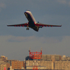 飛行機と水仙！