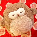 moe's blog