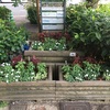 御池通スポンサー花壇の植替え