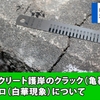 コンクリート護岸のクラック（亀裂）とエフロ（白華現象）について [ 平成28年4月26日裁判 / その6 ]