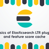 Elasticsearch LTRプラグインと特徴量キャッシュ機能の基本