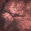 The Gamma Cygni Nebula