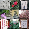 季節の移ろい お寺のことば（5月1日追記あります）