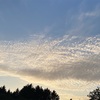 北海道の利尻島へ旅してきました　その4