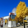 都筑の紅葉2024 