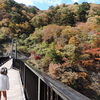 笑旅日記　栃木🌳　Ⅱ