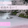 【弘前さくらまつりホテル予約が取れない！】おすすめ周辺ホテル