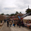 仁和寺の桜（1）