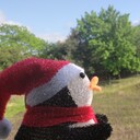 Hakuchu10’s diary