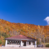 見頃です：錦秋の有峰　