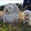 サイクリング犬に会ったよ～