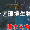 【MHWs】激レア環境生物4種の捕まえ方解説！Monster Hunter Wilds Super Rare Endemic Life【モンハンワイルズ/環境生物】