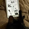 読書の秋にのんちゃんのセーブ。