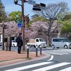 桜が満開の小倉城や北九州市市庁舎の横を通り、