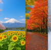 異常気象が“普通”になった時代に、季節感は残っているのか？