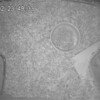 みるくあん396日目