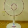 扇風機購入