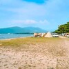 保護犬コスモの成長日記　《琵琶湖でコスモと海水浴編》