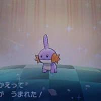 色違い 国際孵化進化 ラグラージ Usum キロの色違いポケモン図鑑ブログ 色違い 国際孵化進化 ラグラージ Usum キロの色違いポケモン図鑑ブログ