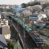 JR根岸線　横浜の桜と機関車　その６