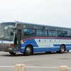 沖縄バス / 沖縄22き ・213