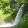 奥美濃　銚子洞　沢登り　水と森の国へ①　2021.06.05-06