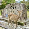 【奈良県・奈良市】歴史と自然に包まれた奈良公園へ