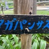 （紹介：植物）新宿中央公園で見かけたアガパンサスを紹介します