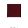 渡辺将人『見えないアメリカ』(講談社現代新書)