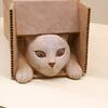 島田紘一呂　木彫り展　その９