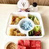 チェンマイで一年越しでやっとありつけた！タイ夏の風物詩”カオチェー”と”プラーヘンテンモー”(∩´∀｀)∩