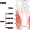 筋トレとハイキック