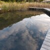 水鏡雲＠引地川親水公園