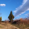 香取海の荒海(あらみ)貝塚