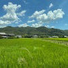 夏の里山　淡河宿