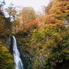 白神山地の紅葉は素晴らしい！