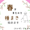 春が来たので種まき始めます