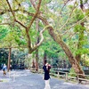 次世代に祈りを込めて🙏