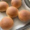 【自家製酵母パン】全粒粉の丸パン