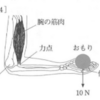 てこの原理で筋肉はモノを支えることができる（２０１６年大分）（２０２１年埼玉）